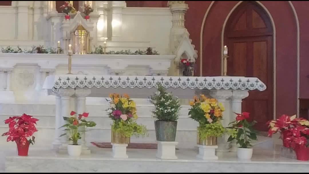 Thumbnail image for St Andre Bessette Parish Service 11Feb24