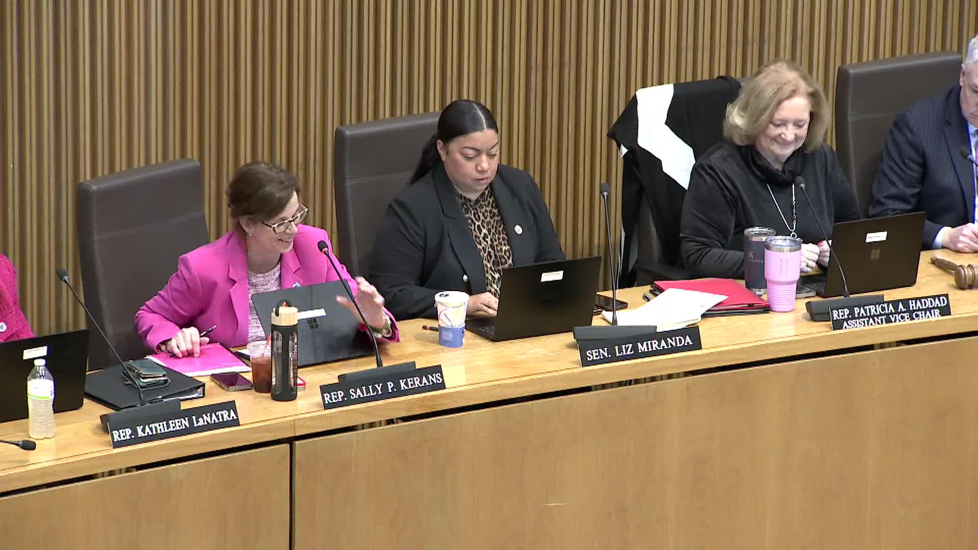 Thumbnail image for MA Joint Committee on Ways & Means Hearing - March 26, 2024