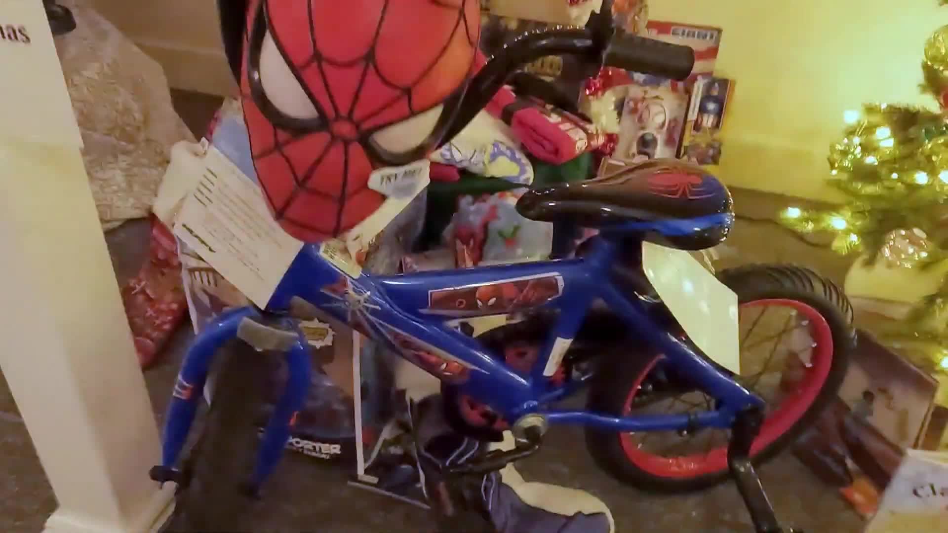 Sea Festival of Trees