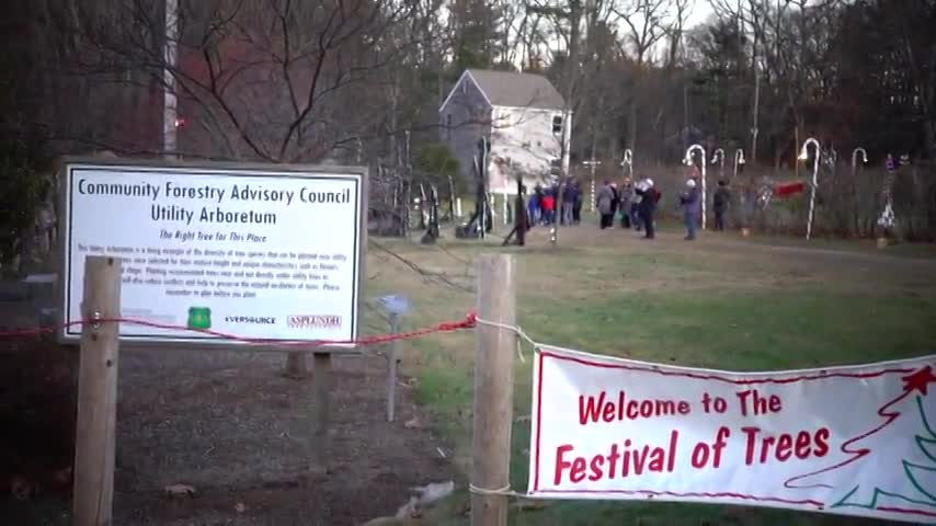 Thumbnail image for The 23rd Annual Portsmouth Garden Club Festival of Trees 2019