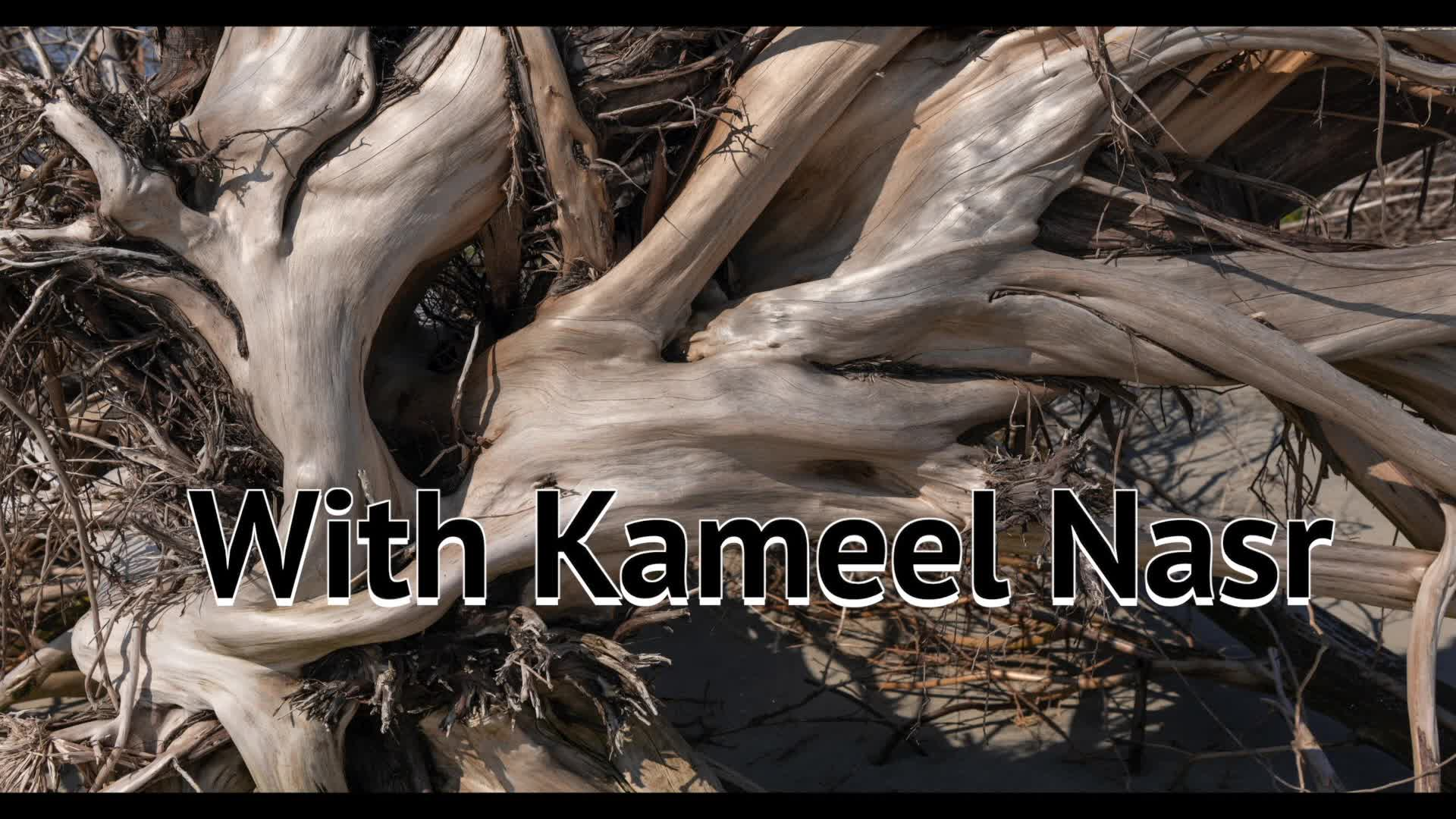 Thumbnail image for New England Authors 75 Haider Javed