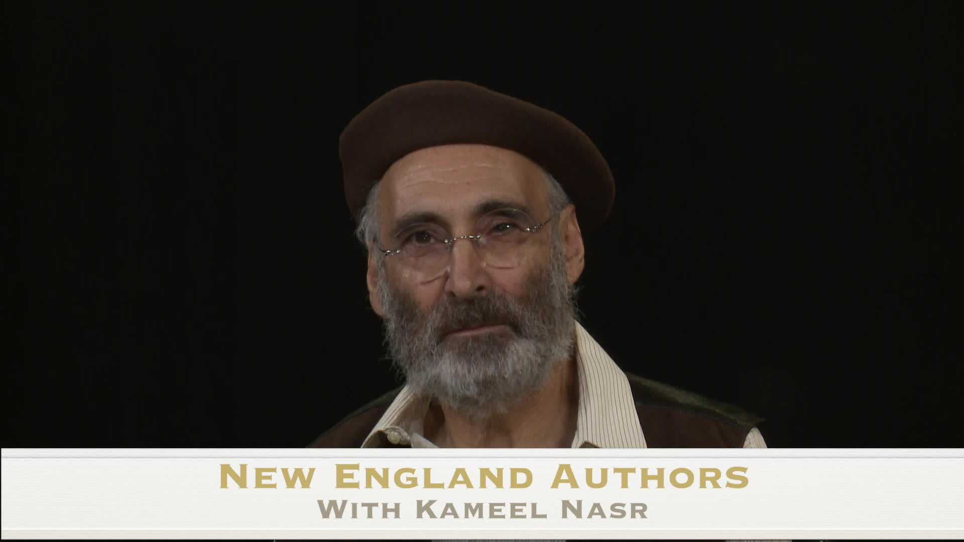 Thumbnail image for New England Authors 46 Judy Perlman